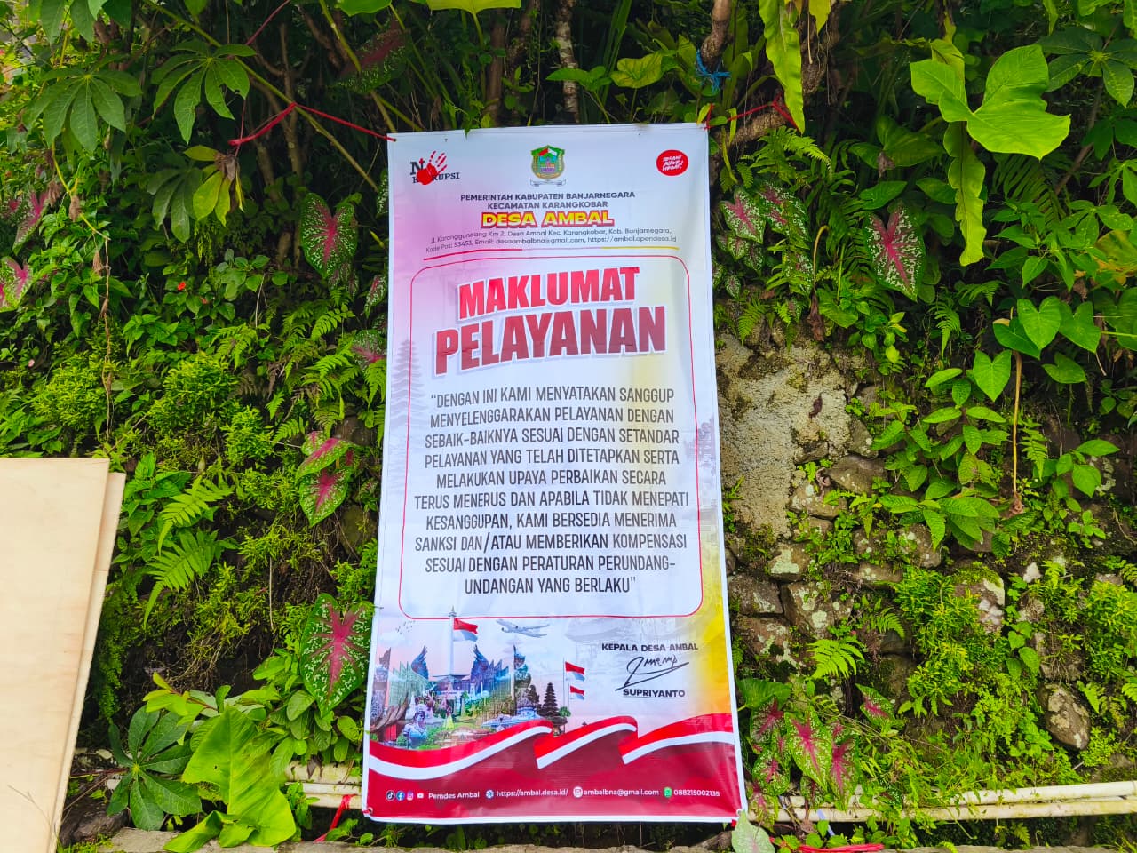 WhatsApp_Image_2025-11-12_at_10-09-36